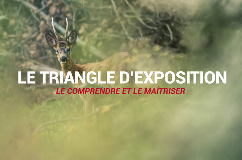 Triangle d’exposition : notion fondamentale à maîtriser en photo