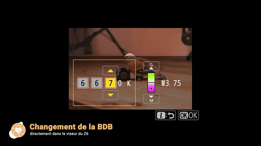Balance-des-blancs-Nikon-Z6_14488-scaled Balance-des-blancs-Nikon-Z6_14488-scaled