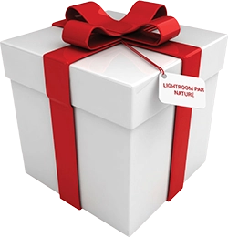 Cadeau Cadeau