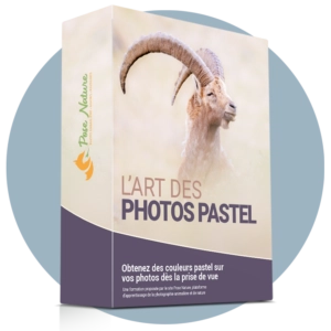 Mock-up-Art-des-photos-pastel