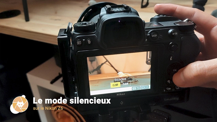 Mode-silencieux-Nikon-z6_15524-scaled Mode-silencieux-Nikon-z6_15524-scaled