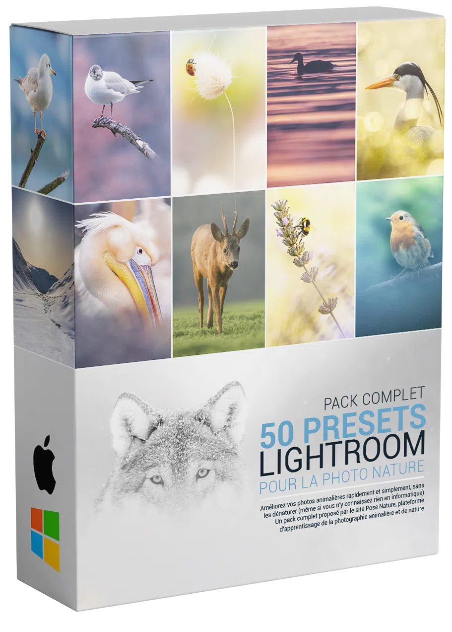 50-presets-Lightroom 50-presets-Lightroom