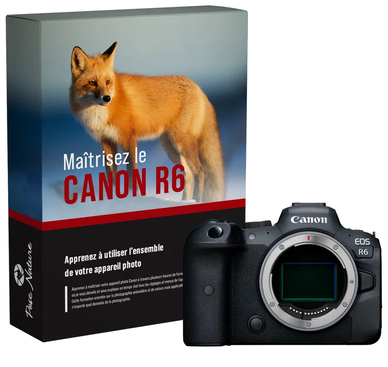 Formation-Canon-R6