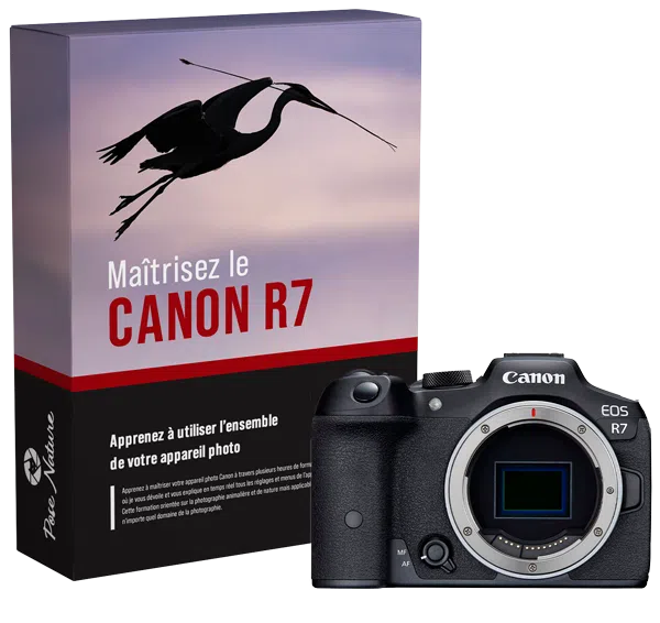Formation-Canon-R7 Formation-Canon-R7