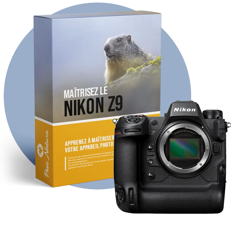 Maîtrisez-le-Nikon-Z9