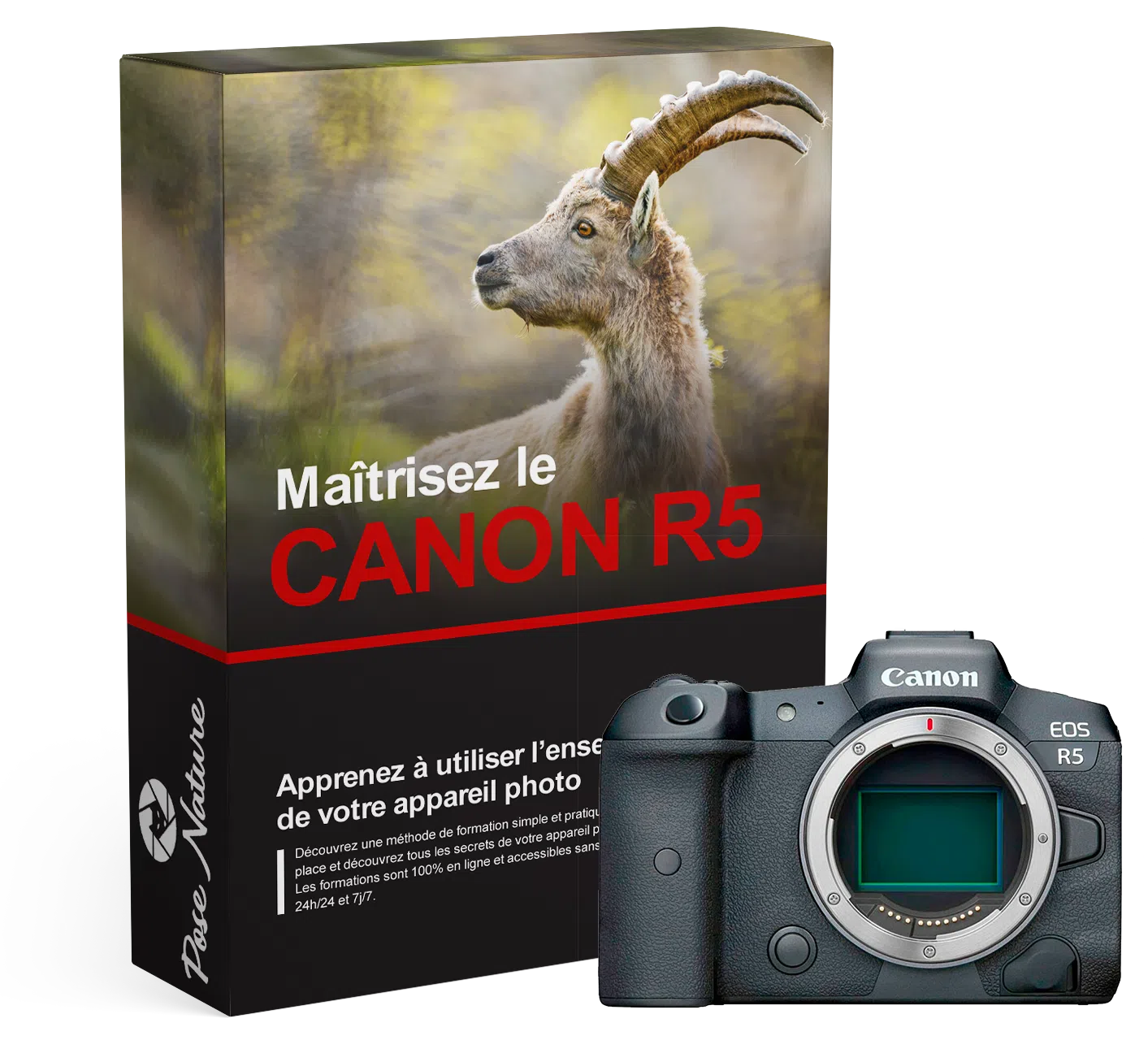 Formation-Canon-R5