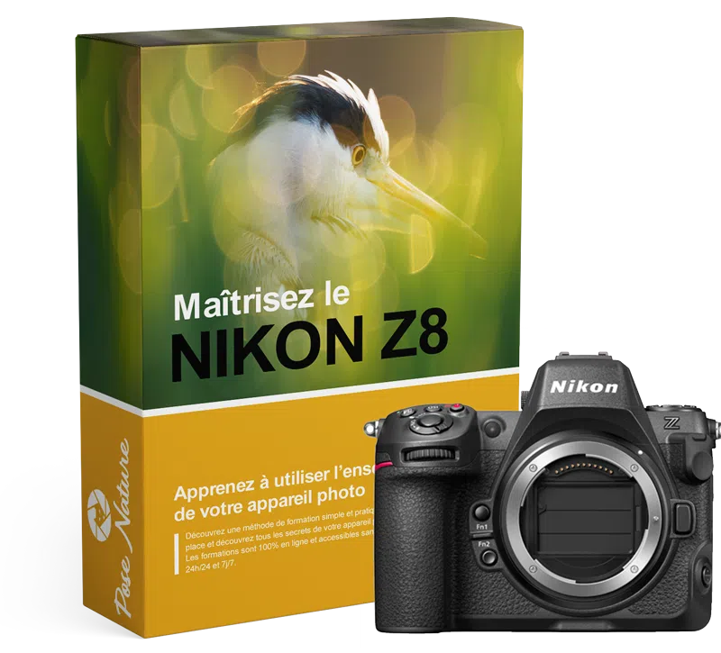 Formation-Nikon-Z8