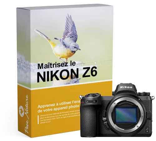 Formation-Nikon-Z6