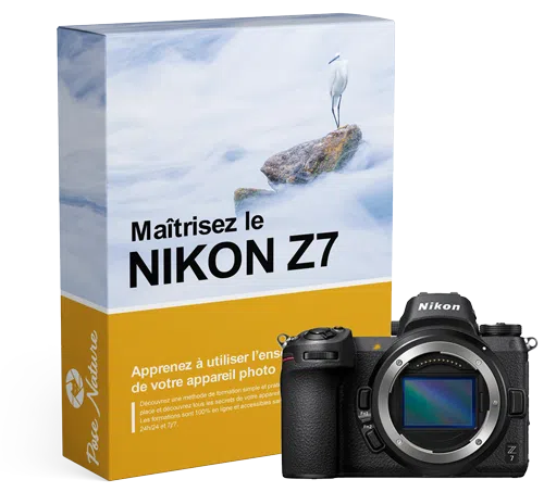 Formation-Nikon-Z7 Formation-Nikon-Z7