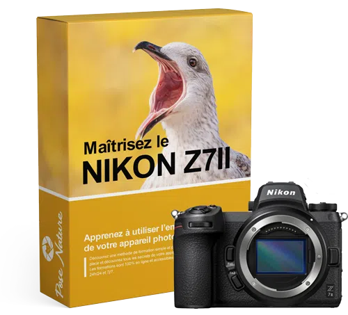 Formation-Nikon-Z7ii Formation-Nikon-Z7ii