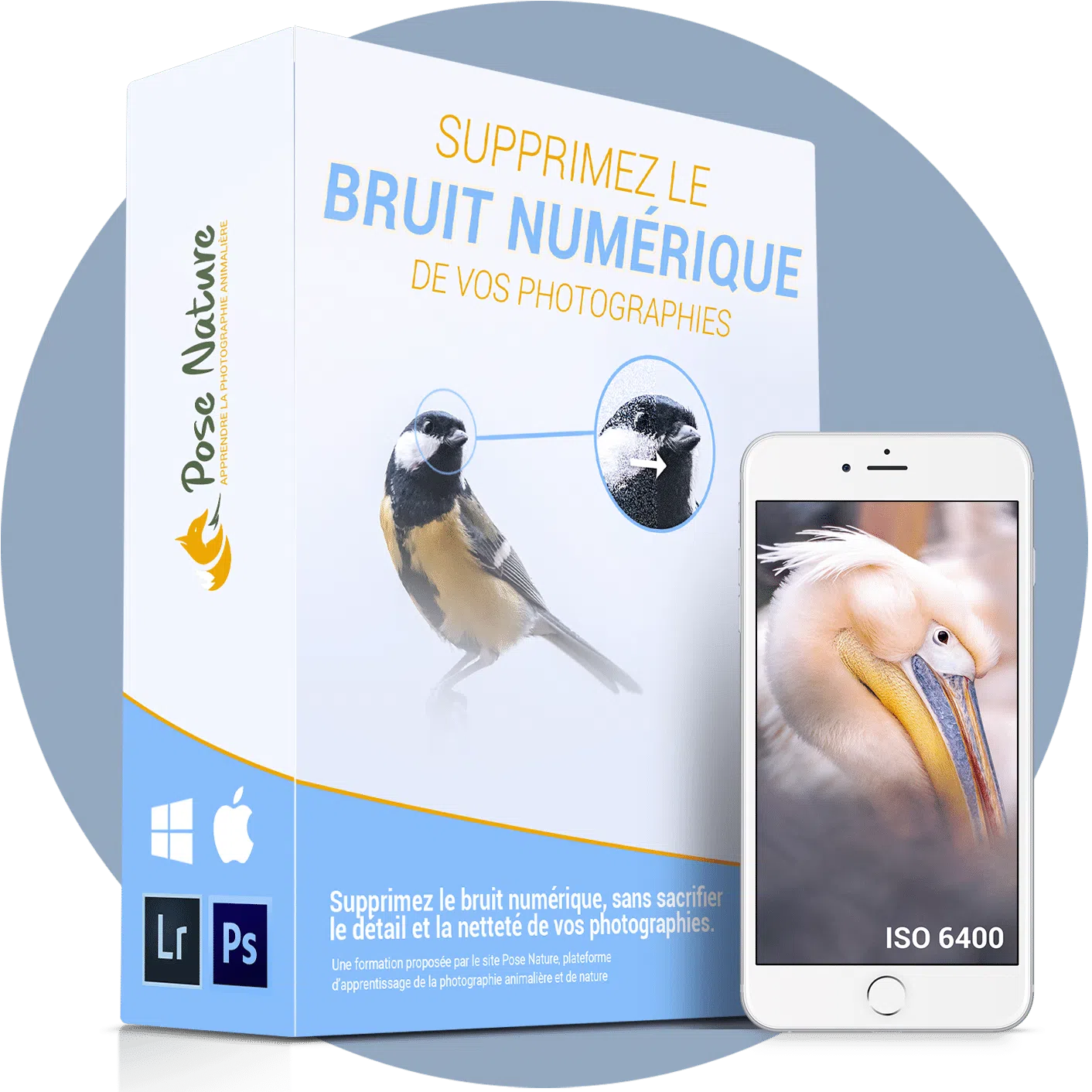 Mock-Up_Box_rond_Supprimez le bruit numérique