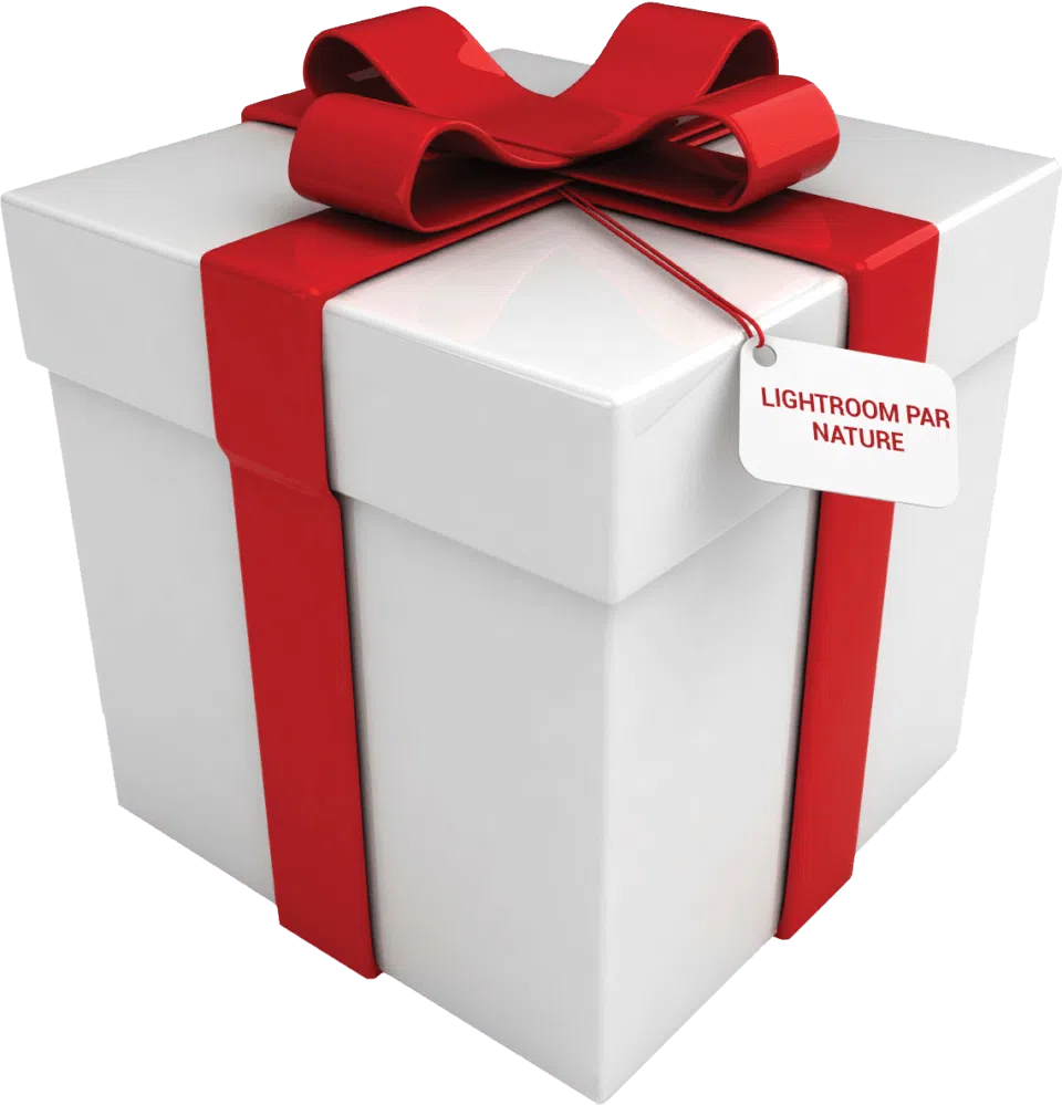 Cadeau png