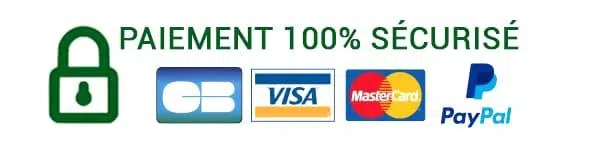 logo_paiement_securisé-1-1