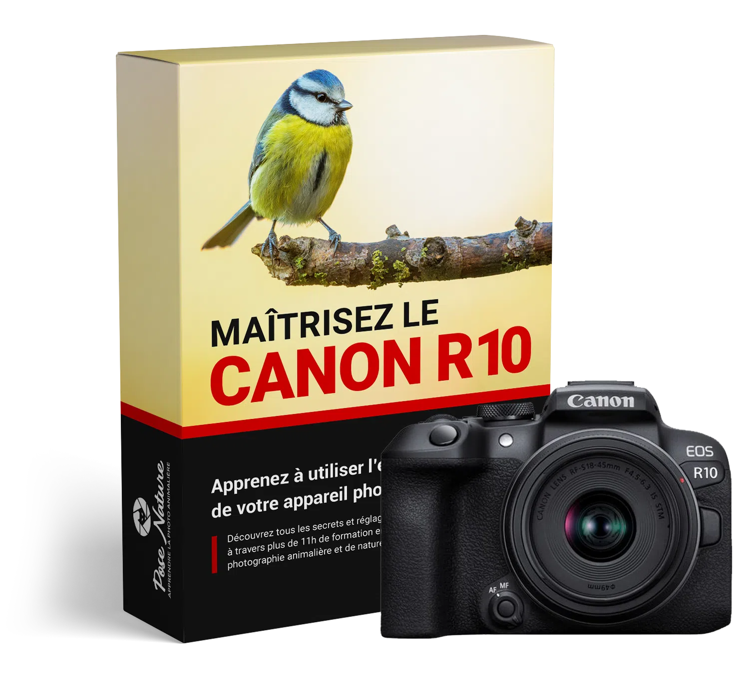Masterclass-Canon-R10 Masterclass-Canon-R10