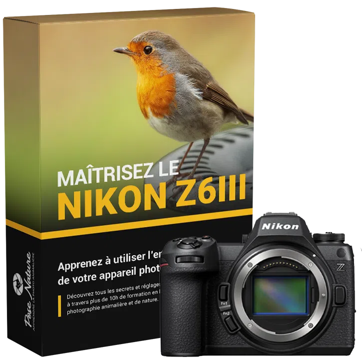 Formation-Nikon-Z6-III-+-Appareil