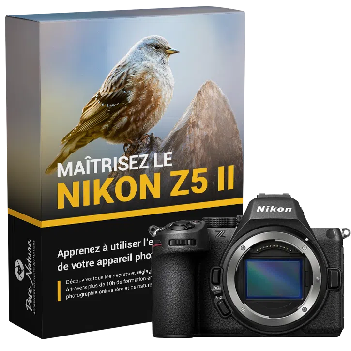 Formation-Nikon-Z5-II-avec-appareil