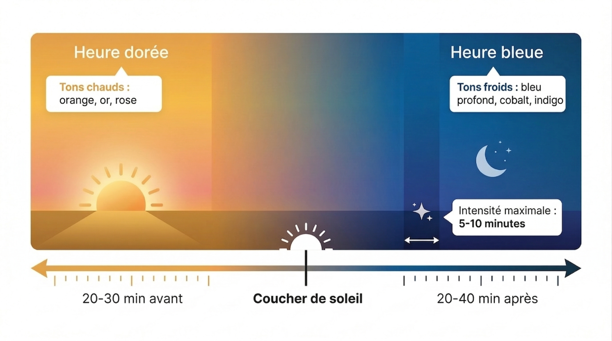 Golden hour ou heure bleue scaled Photo animalière