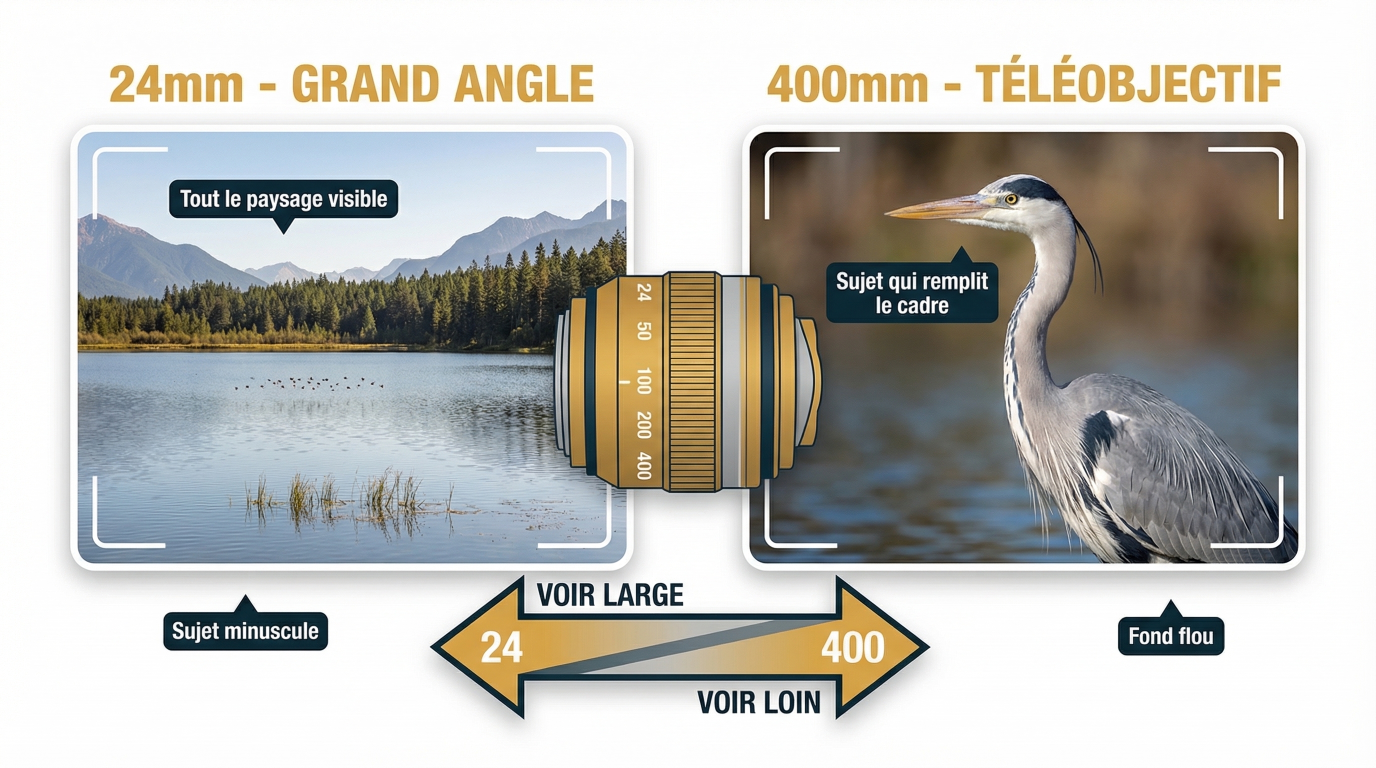 Comparaison de la distance focale en photo nature
