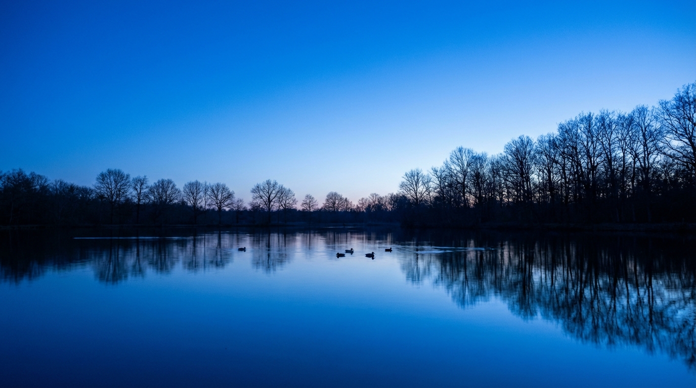 Étang en Sologne baigné dans la lumière bleue intense après le coucher du soleil avec silhouettes d'arbres