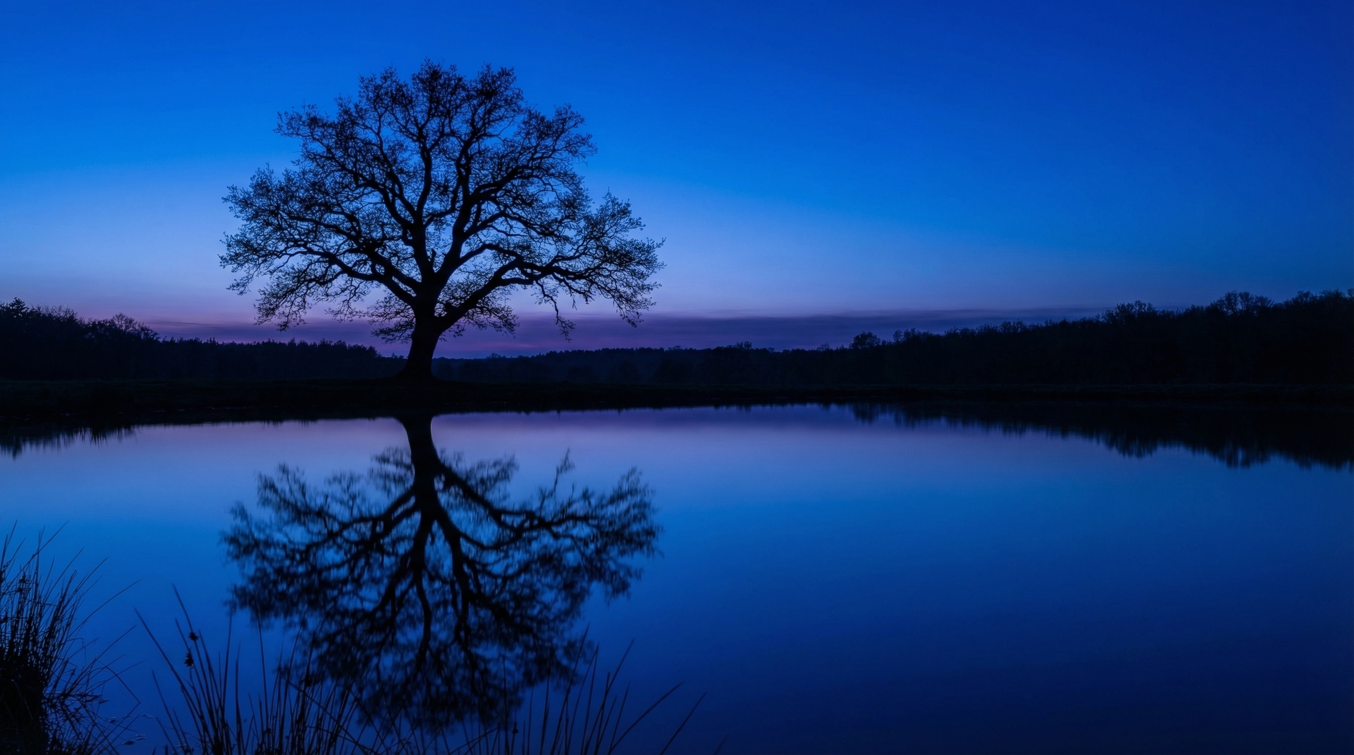 Reflet parfait sur un plan d'eau immobile photographié à l'heure bleue en pleine nature