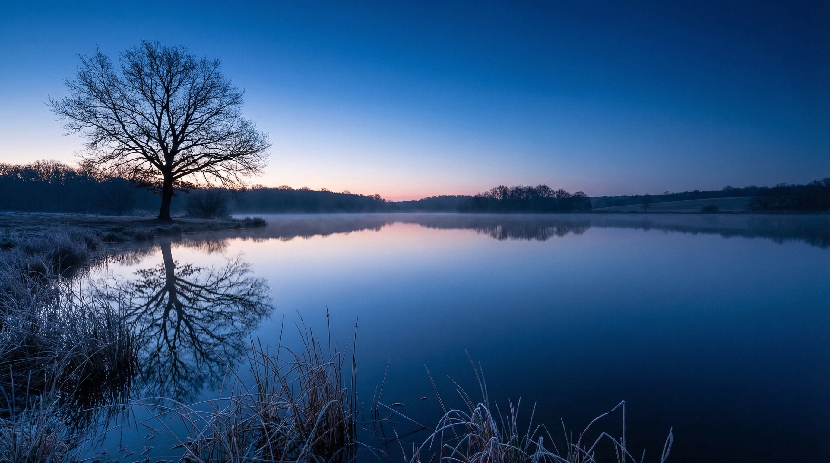 Paysage photographié à l'heure bleue en Sologne