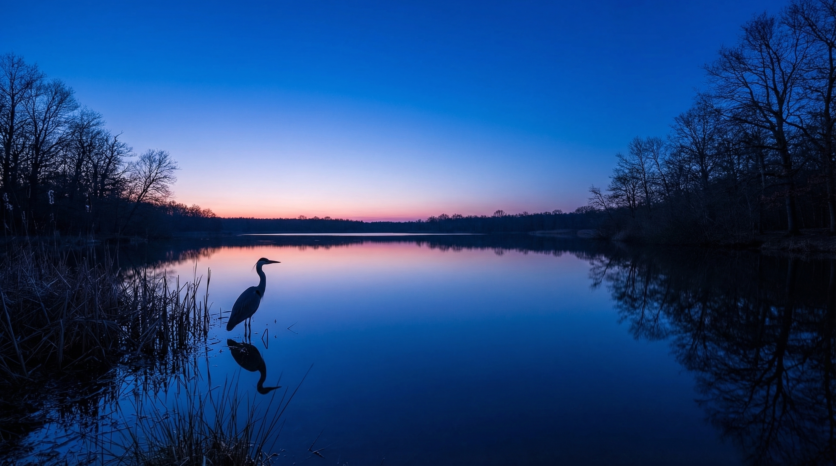 Photo de l'heure bleue sur un étang en Sologne avec reflets bleu profond