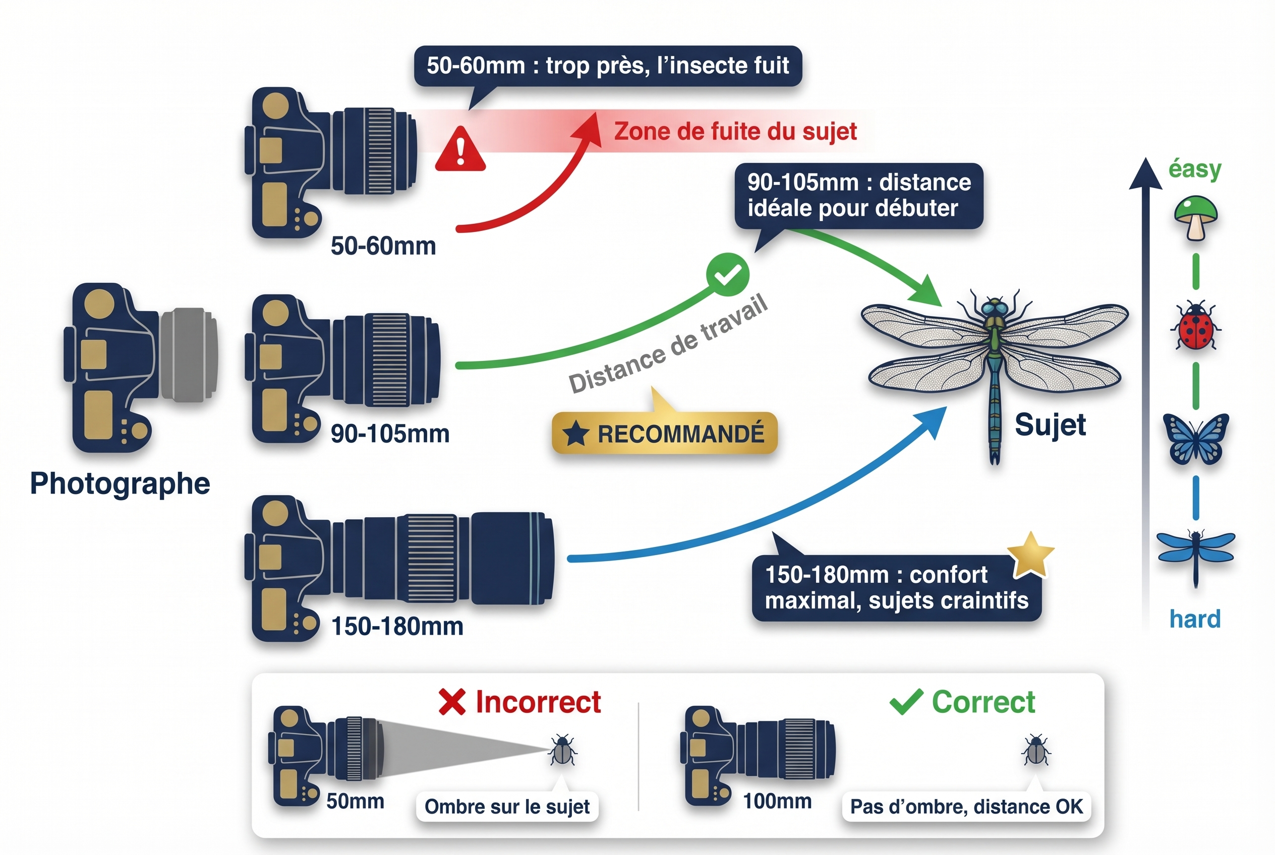 Illustration pédagogique expliquant la distance de travail en macrophotographie selon la focale de l'objectif (50mm, 105mm, 180mm) pour photographier une libellule.