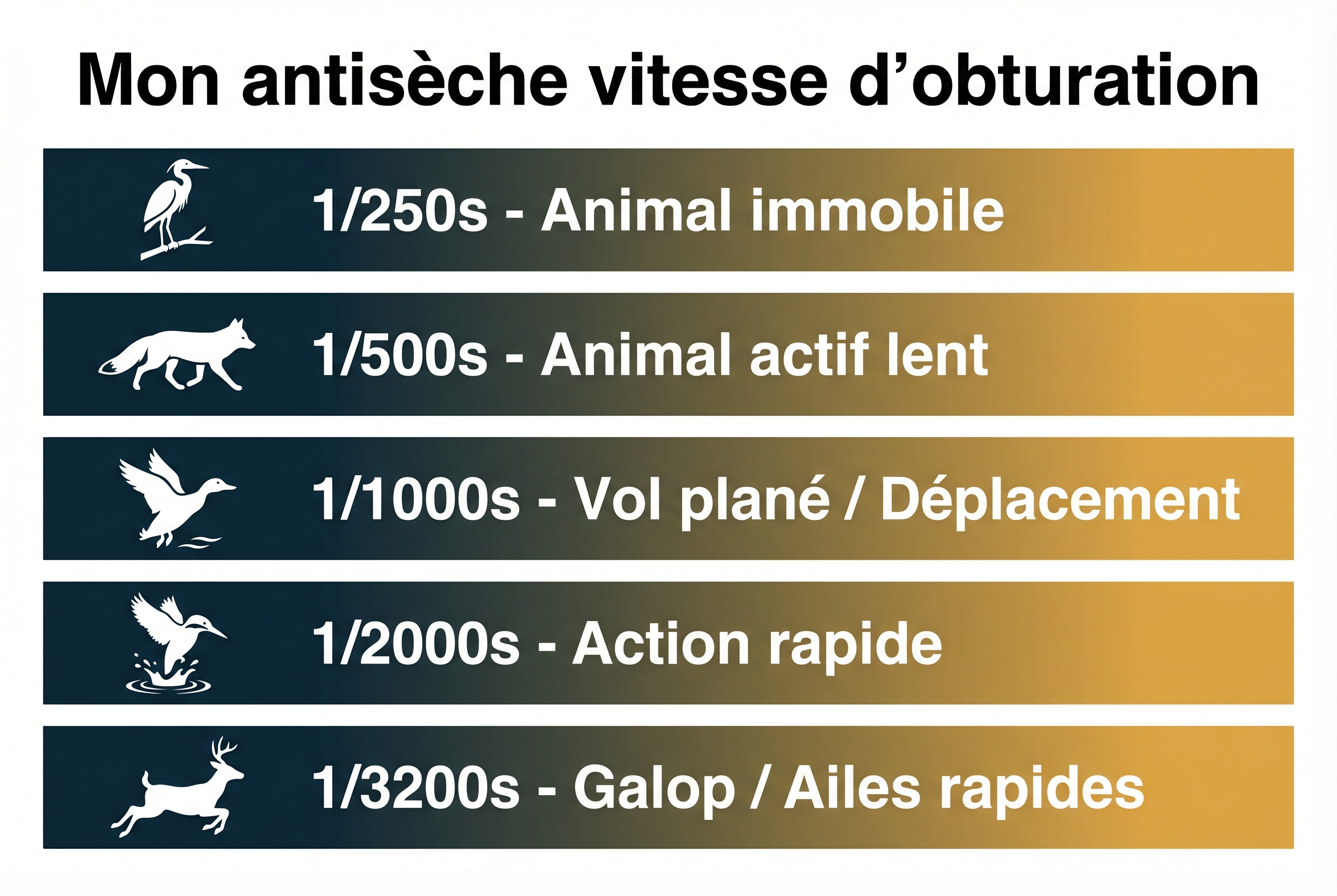 Infographie pédagogique présentant les réglages de vitesse d'obturation pour la photo de nature : de 1/250s pour un animal immobile à 1/3200s pour une action rapide.