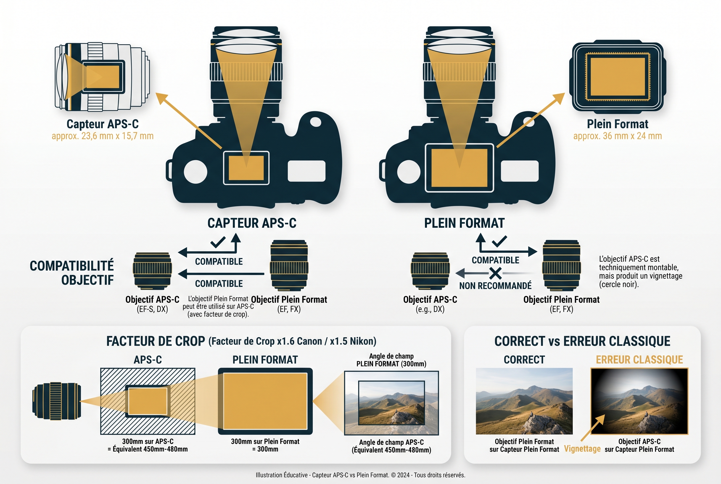 Infographie pédagogique comparant les capteurs APS-C et Plein Format (Full Frame) pour débuter en photo avec Canon ou Nikon, illustrant le facteur de crop et la compatibilité des objectifs.