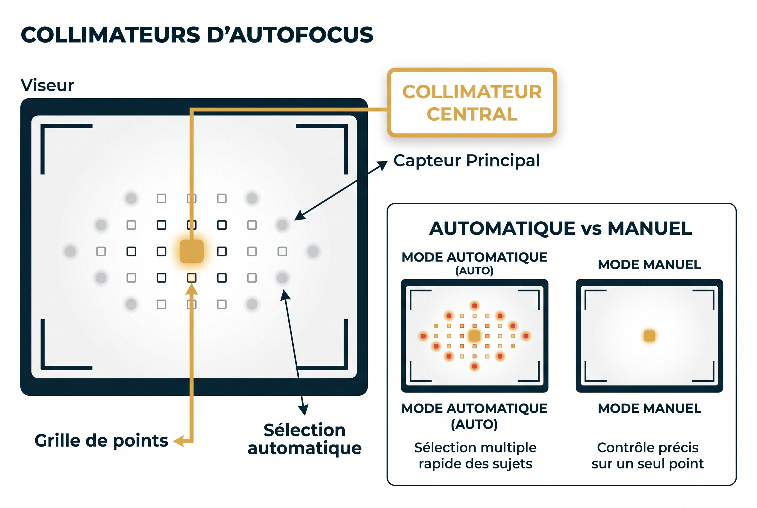 Illustration pédagogique des collimateurs dans un viseur pour réussir sa mise au point photo