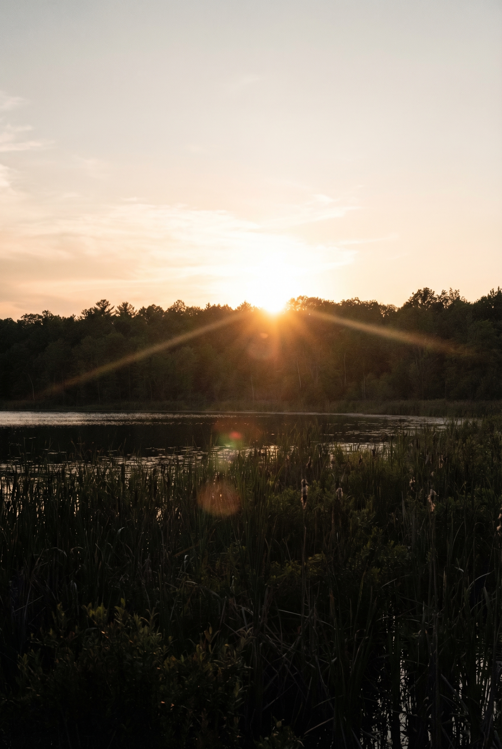 Golden-hour : comment (bien) la photographier 25 Exemple de photo de paysage sous-exposée à l'heure dorée montrant un lac et des roseaux trop sombres face au soleil.