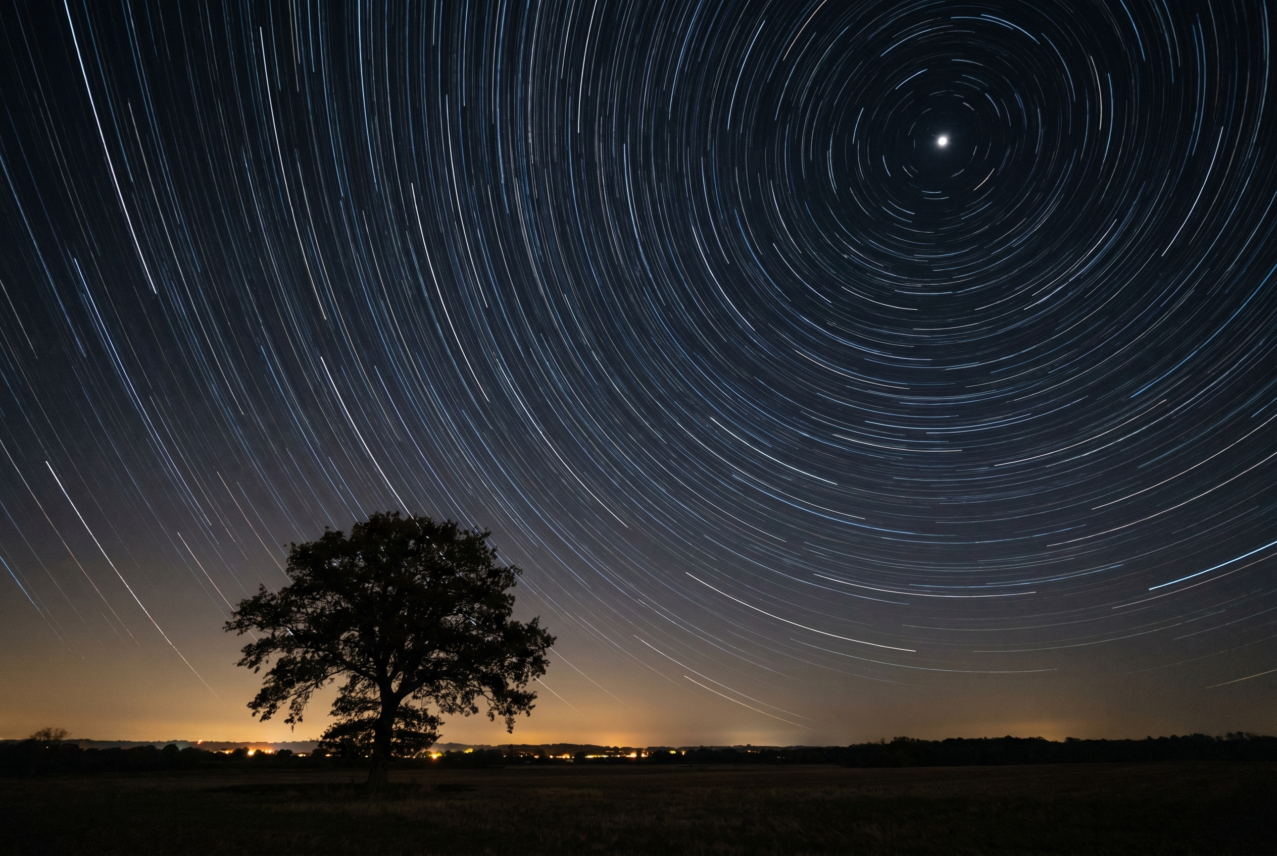 Photographie en longue exposition d'un filé d'étoiles circulaire autour de l'étoile Polaire au-dessus de la silhouette d'un chêne.