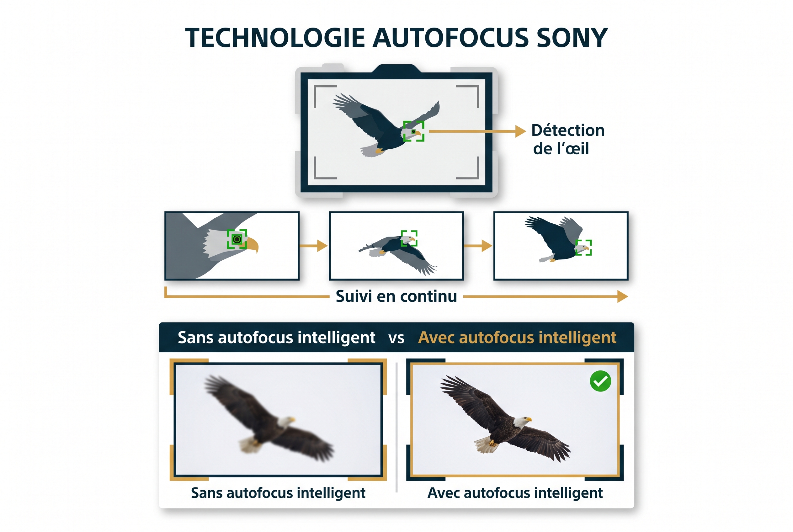 Schéma pédagogique expliquant la technologie d'autofocus avec détection de l'œil animal sur un oiseau en vol, illustrant la précision d'une marque d'appareil photo comme Sony.