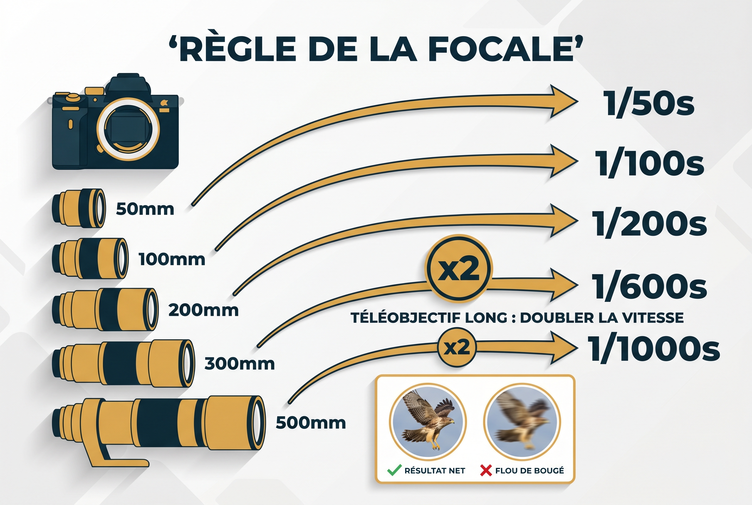 Flou de bougé : 5 astuces pour l'éviter 15 Infographie pédagogique expliquant la règle de la focale pour éviter le flou de bougé en photographie animalière, avec comparaison entre un oiseau net et un oiseau flou.