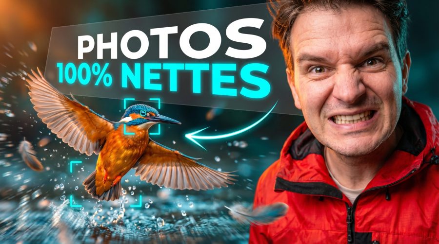Débuter en photo animalière : le guide complet 2 reussir-photos-oiseaux-nettes