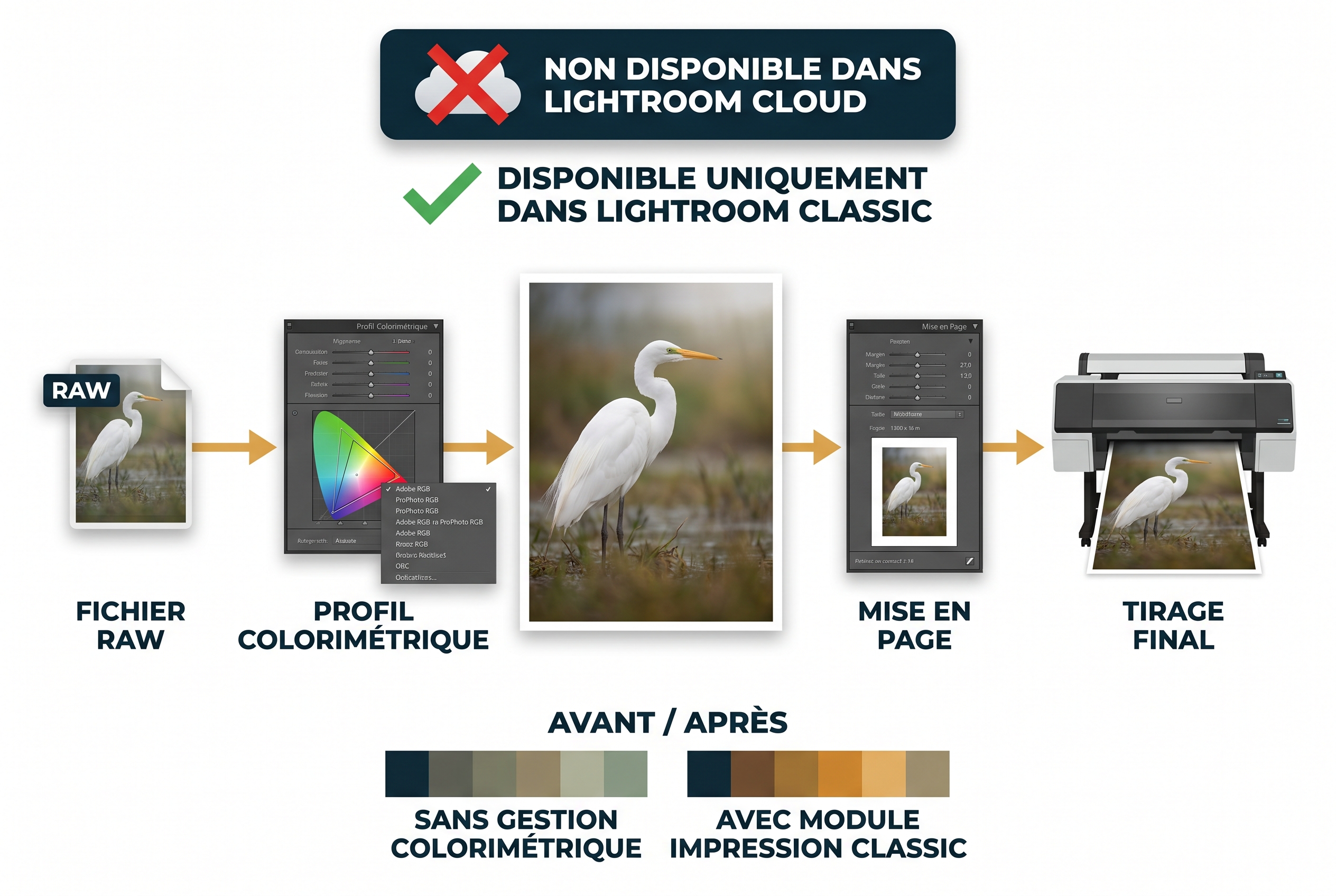 Schéma comparatif du workflow d'impression exclusif à Lightroom Classic montrant la préparation d'un tirage photo d'une aigrette