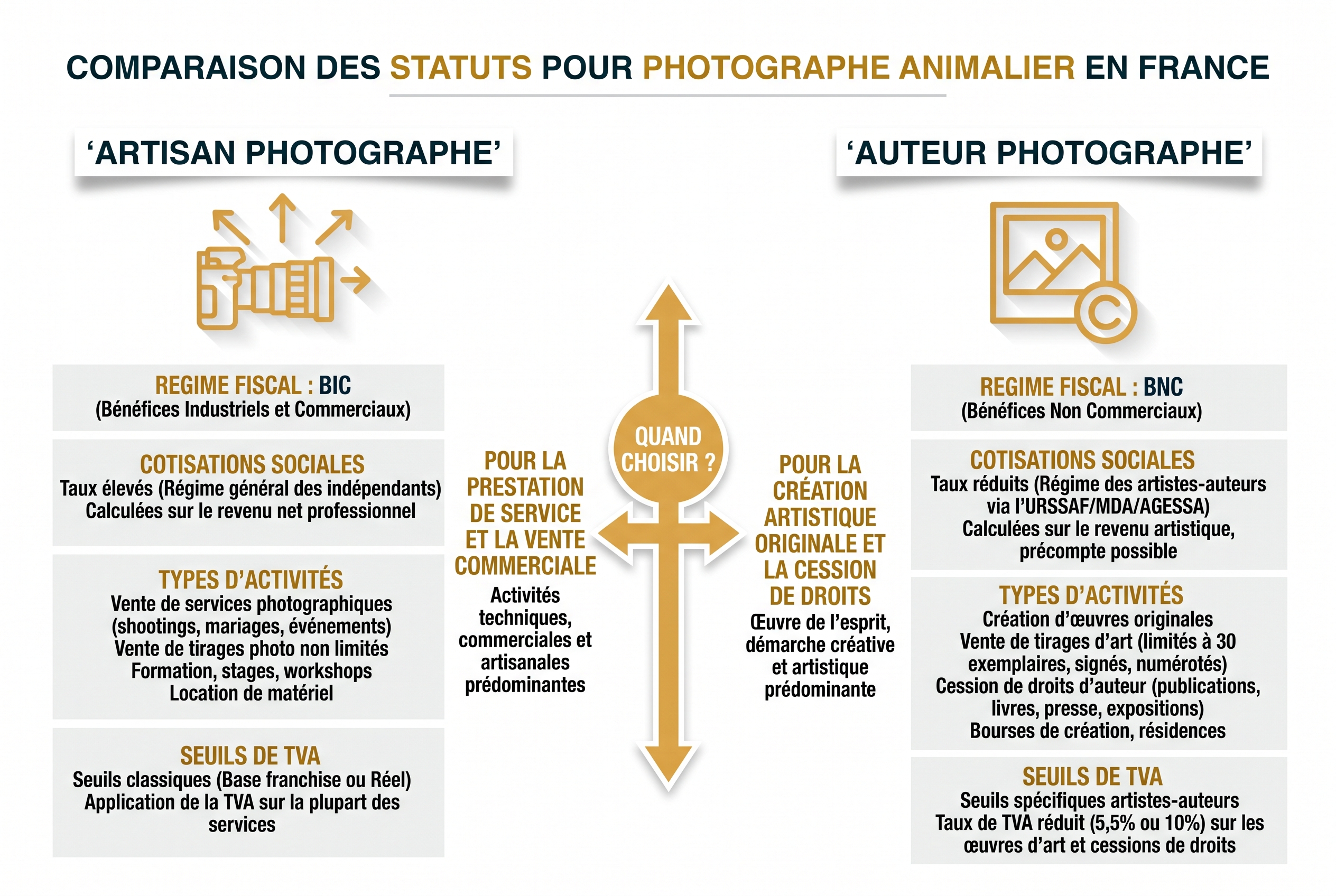 Salaire photographe animalier : combien peut-on vraiment gagner ? 14 Infographie pédagogique comparant les statuts d'Artisan et d'Auteur pour le salaire d'un photographe animalier en France.
