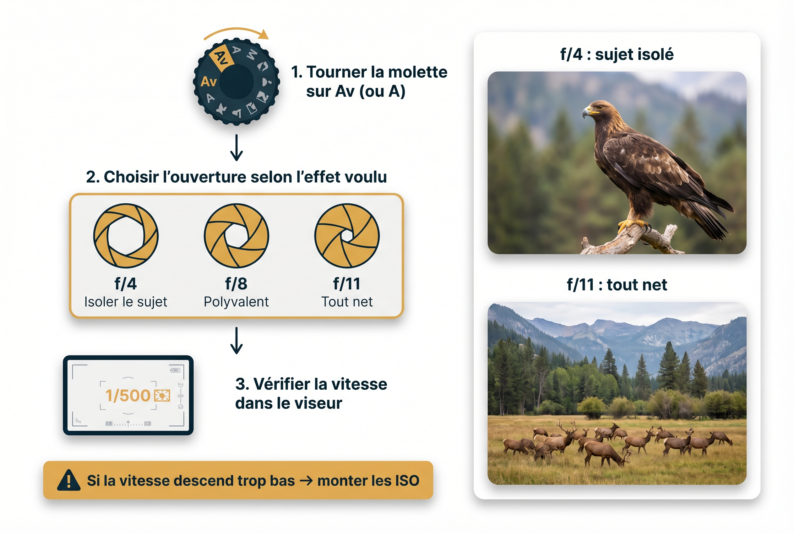 Infographie pédagogique expliquant les 3 étapes du mode Priorité Ouverture (Av/A) pour apprendre la photo : réglage molette, choix du diaphragme et contrôle de la vitesse.