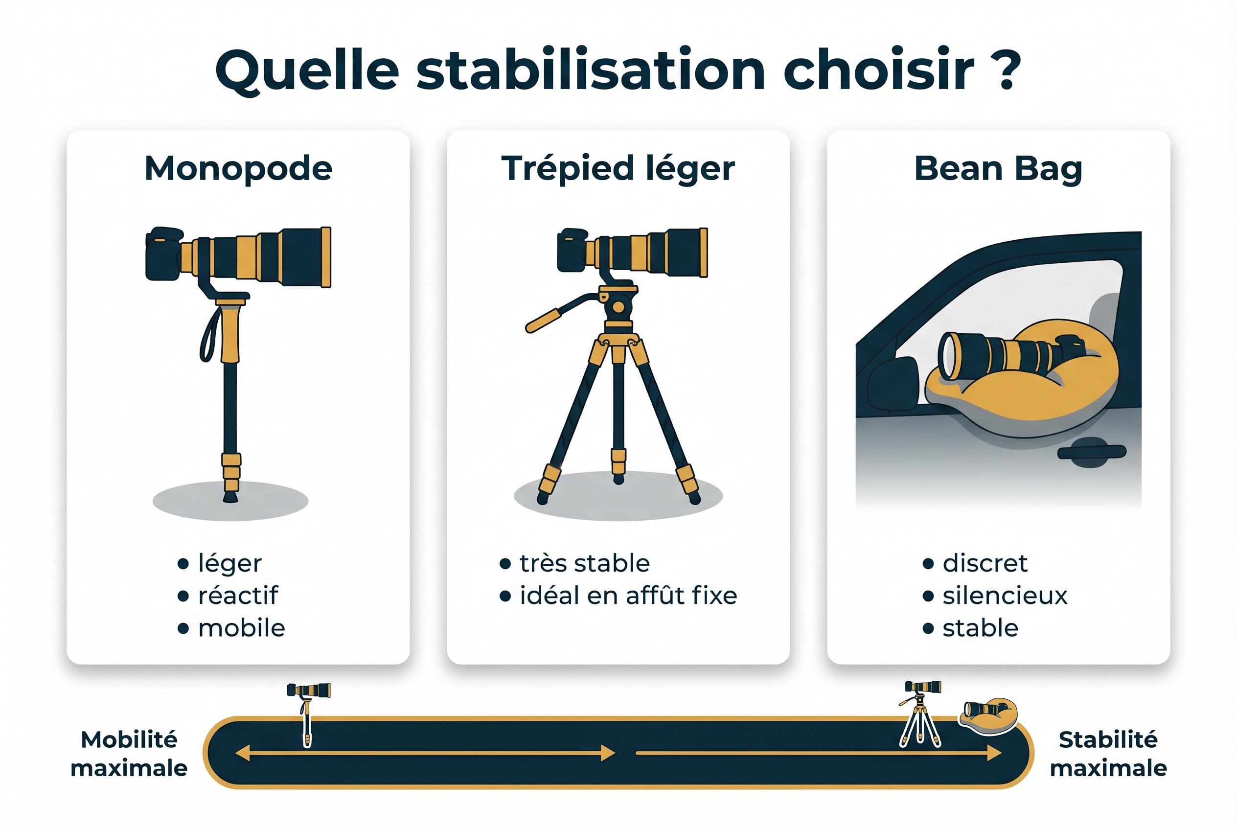 Infographie comparative des supports de stabilisation pour photographier le renard : monopode, trépied léger et bean bag avec avantages techniques.