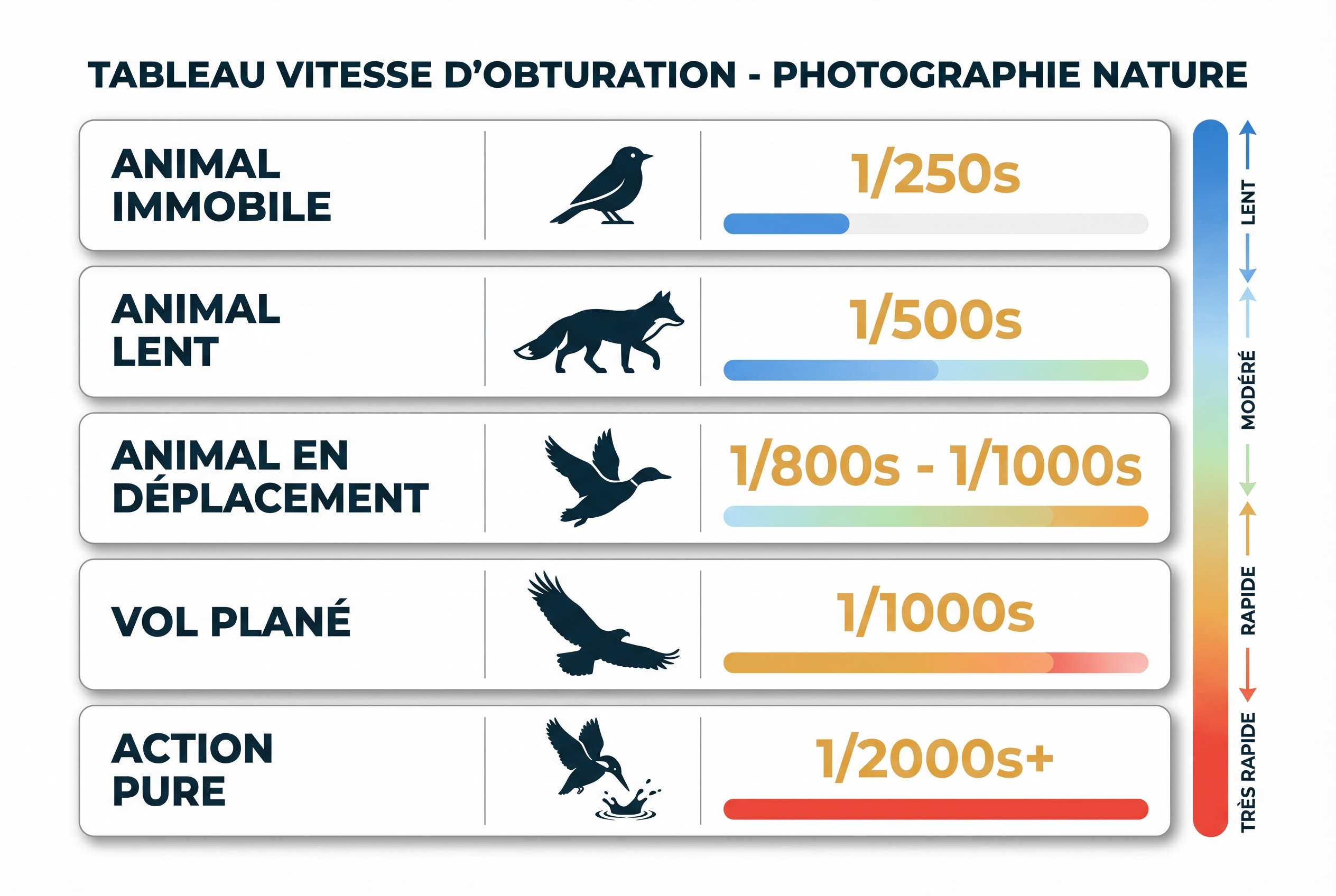 Infographie récapitulative des réglages de vitesse d'obturation pour la photo de nature : de 1/250s pour un animal immobile à 1/2000s pour l'action rapide.