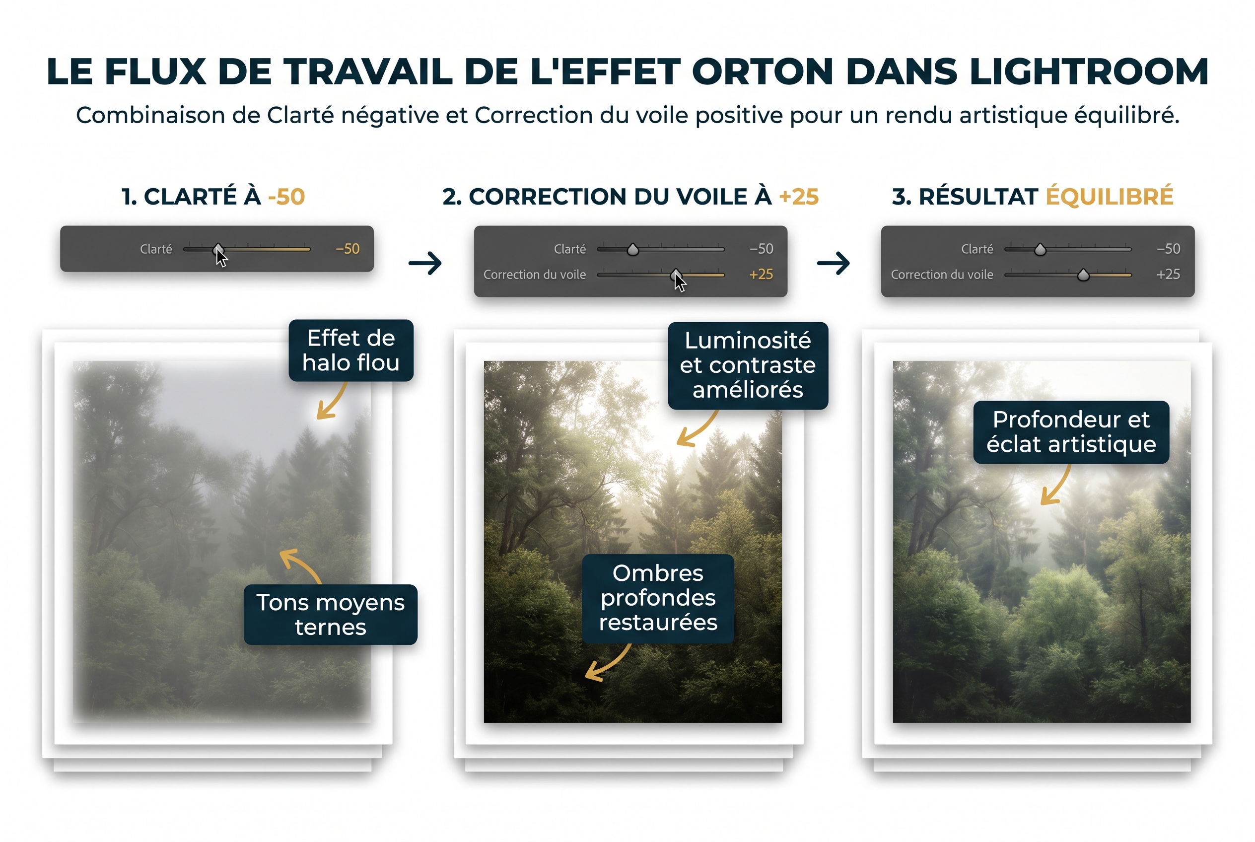 Réussir l'effet orton : le secret pour des photos de nature féeriques 18 Schéma pédagogique expliquant comment créer un effet Orton dans Lightroom en combinant la clarté négative et la correction du voile positive sur une photo de forêt.