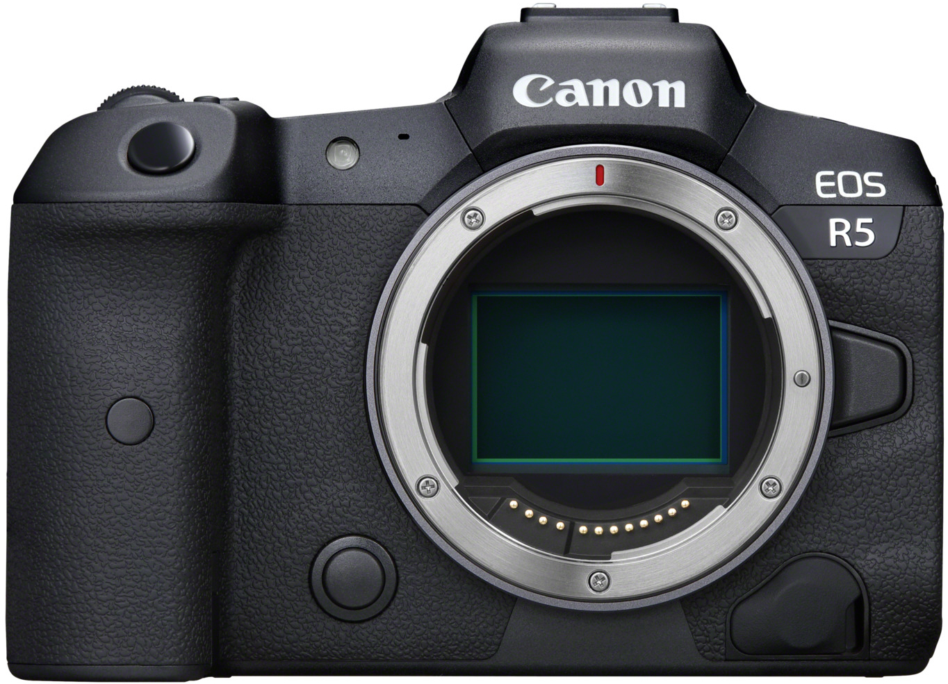 Test Canon R5 : vaut-il toujours le coup en 2026 ? 13 Canon EOS R5