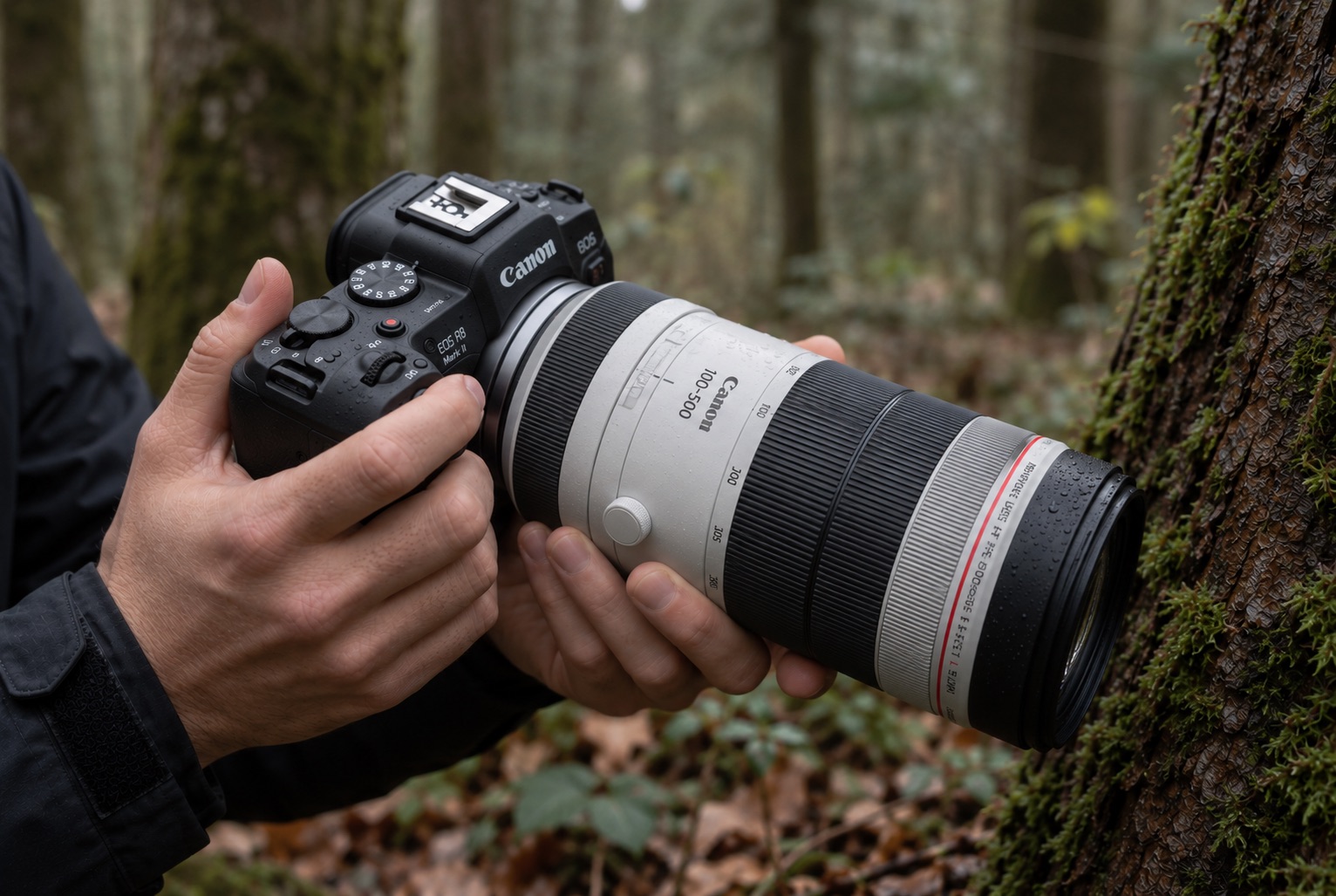Mains d'un photographe tenant le boîtier hybride Canon R8 Mark II équipé d'un téléobjectif lors d'un test en forêt dense.