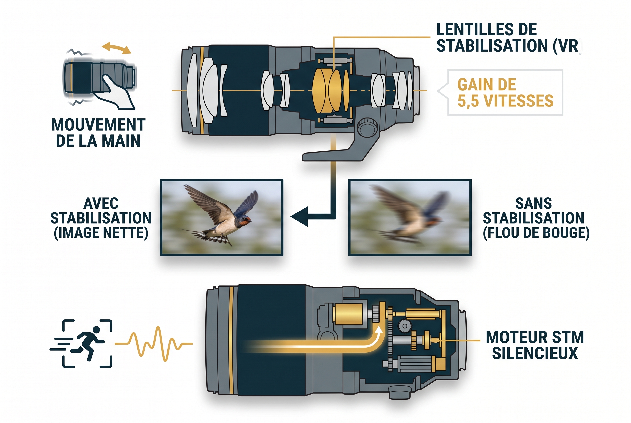 Schéma technique expliquant le fonctionnement de la stabilisation optique VR (gain de 5,5 vitesses) et du moteur autofocus STM du Nikon Z 180-600mm.