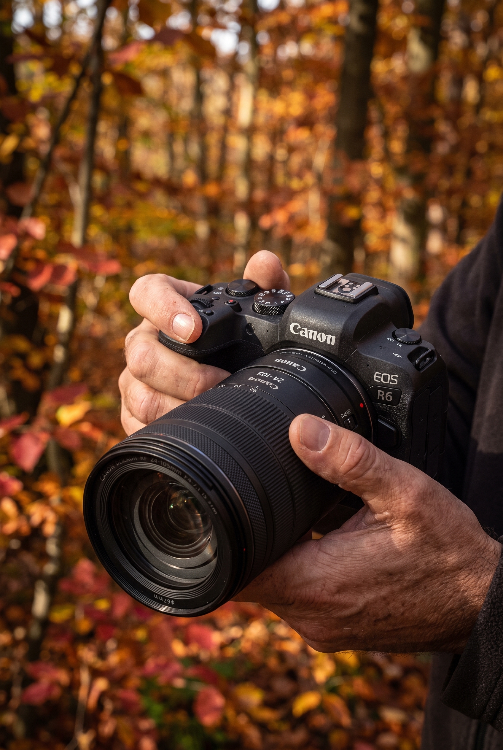 Gros plan des mains d'un photographe tenant le boîtier Canon EOS R6 avec téléobjectif et bague d'adaptation EF-RF en forêt. On distingue le grip texturé et les molettes de contrôle.