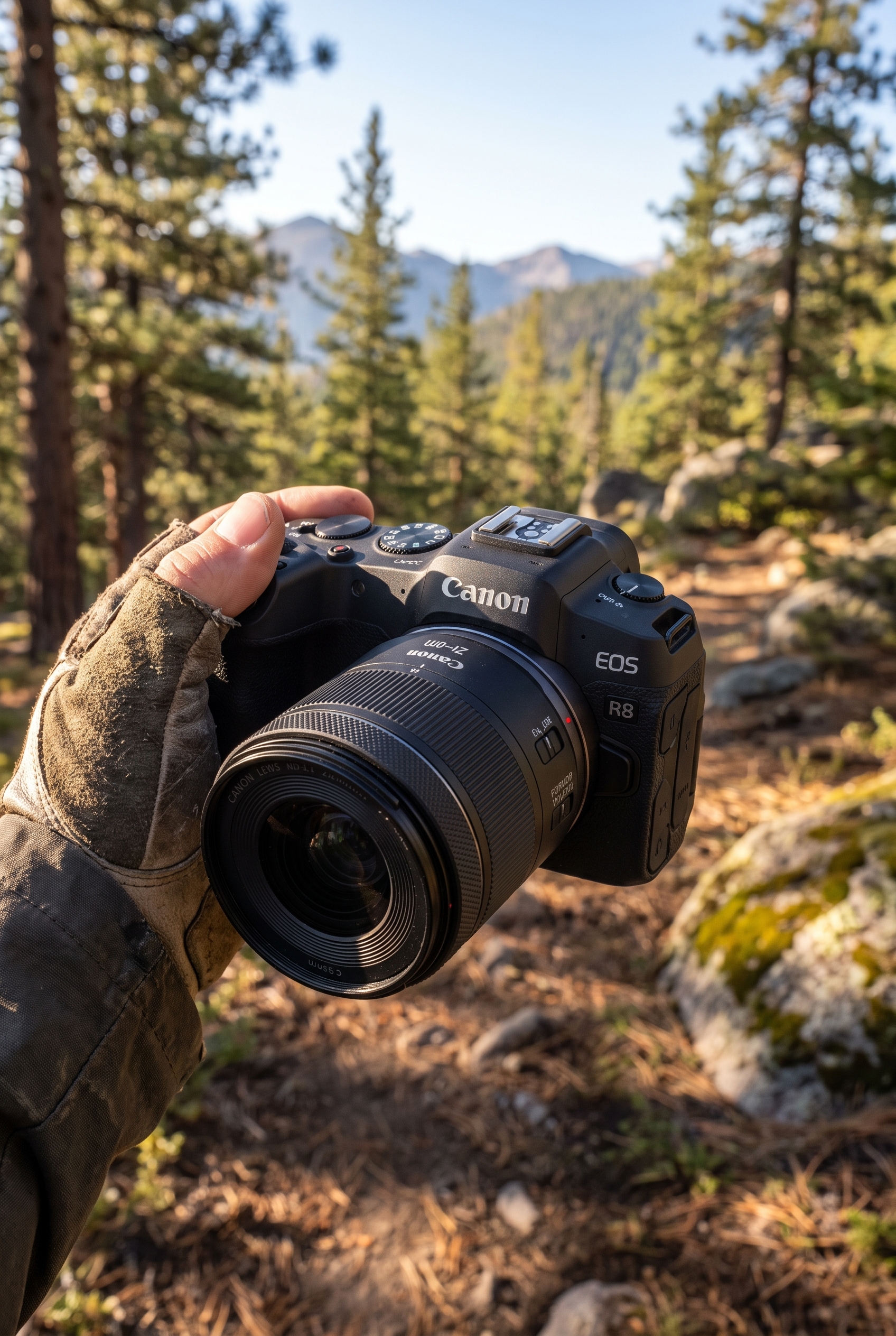 Test Canon R8 : le meilleur hybride entrée de gamme 14 Prise en main du boîtier hybride Canon R8 par un photographe de nature sur un sentier de montagne en forêt.