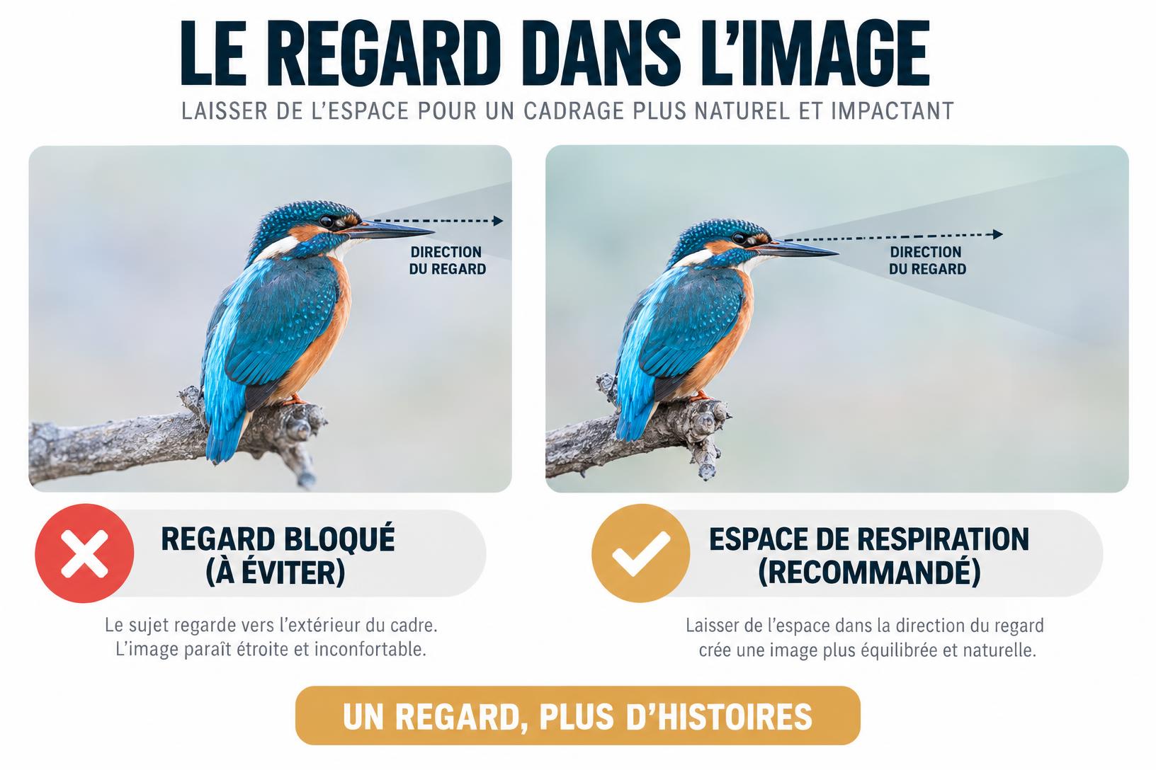 Infographie pédagogique illustrant une règle essentielle parmi nos astuces photos : la différence entre un cadrage bloqué et un cadrage avec espace de respiration devant le regard d'un oiseau.