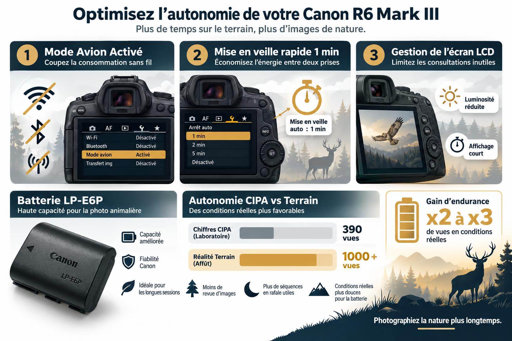 Infographie pédagogique expliquant comment optimiser l'autonomie de la batterie LP-E6P sur le Canon R6 Mark III pour la photo animalière : mode avion, veille et gestion LCD.