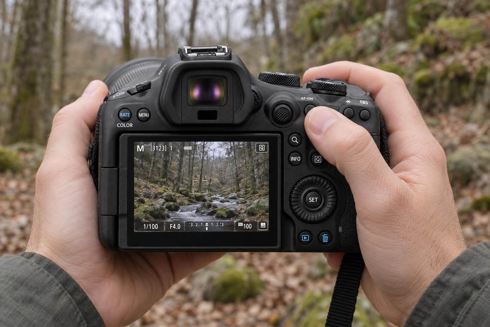 Gros plan sur l'ergonomie arrière du Canon R6 Mark III tenu en main lors d'un test terrain en forêt pour la photo animalière.