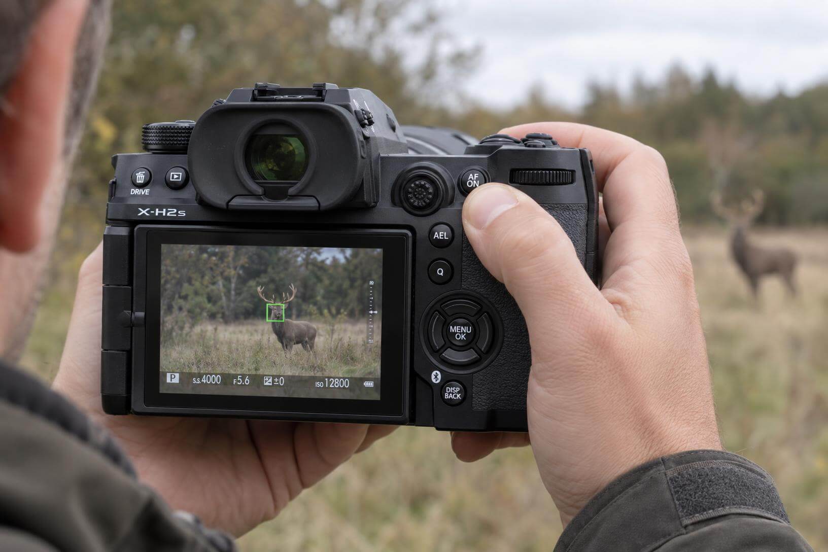 Photographe utilisant le bouton AF-ON du Fujifilm X-H2S en forêt pour tester l'autofocus en photo animalière.